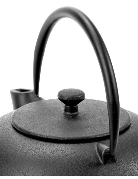 Théière en fonte Pure 1L Pascale Naessens, Serax Zoom