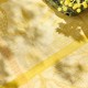 Chemin de table pur lin A L'orangerie Mimosa, Le Jacquard Français