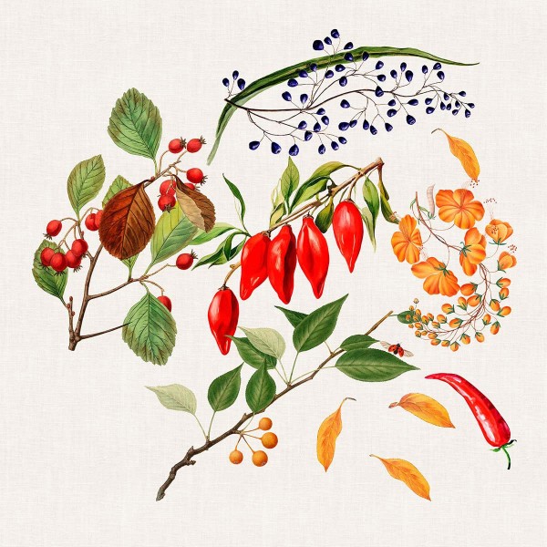 Serviettes de table imprimé métis lin et coton lavé Piments doux Caliente, Garnier-Thiébaut