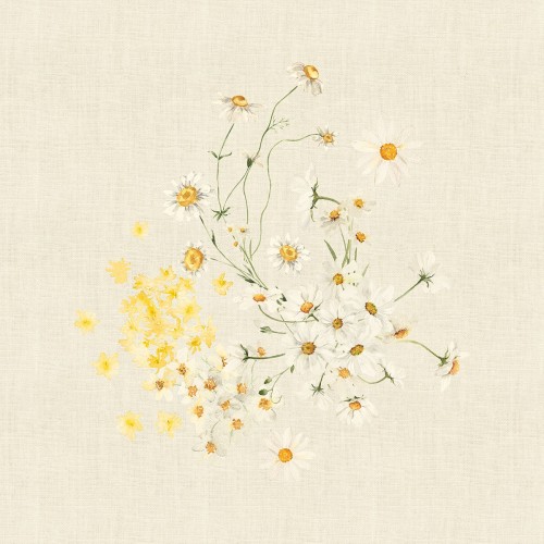 Serviettes de table métis lin et coton lavé imprimé Daisy Chanvre, Garnier-Thiébaut 