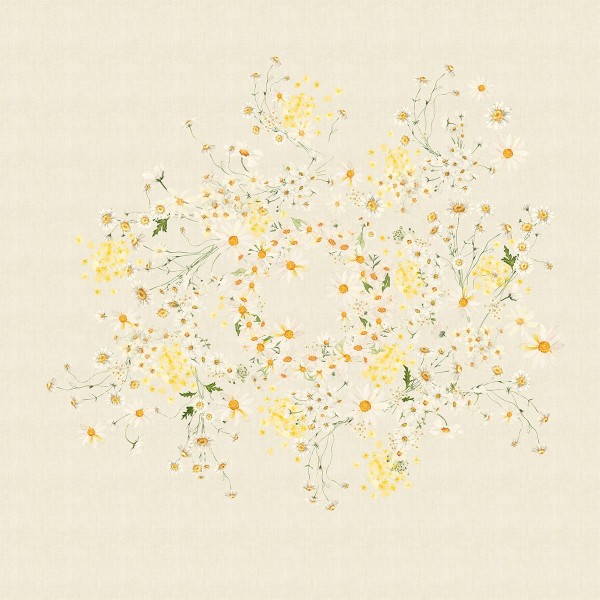 Nappe métis lin et coton lavé imprimé Daisy Chanvre, Garnier-Thiébaut 