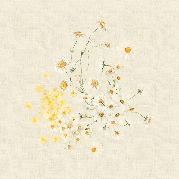 Serviettes de table métis lin et coton lavé imprimé Daisy Chanvre, Garnier-Thiébaut