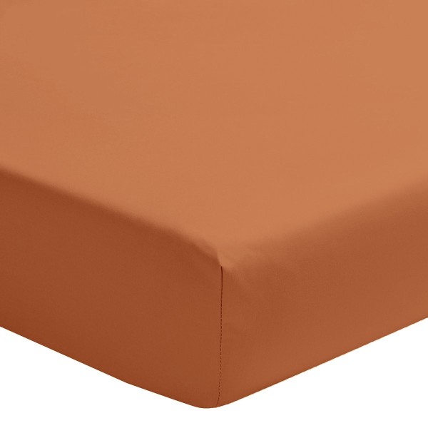 Drap housse uni en percale de coton Première Cuir