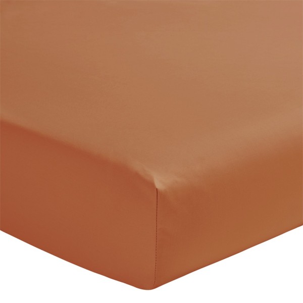 Drap housse uni en percale de coton 80 fils/cm² Première Cuir, Essix