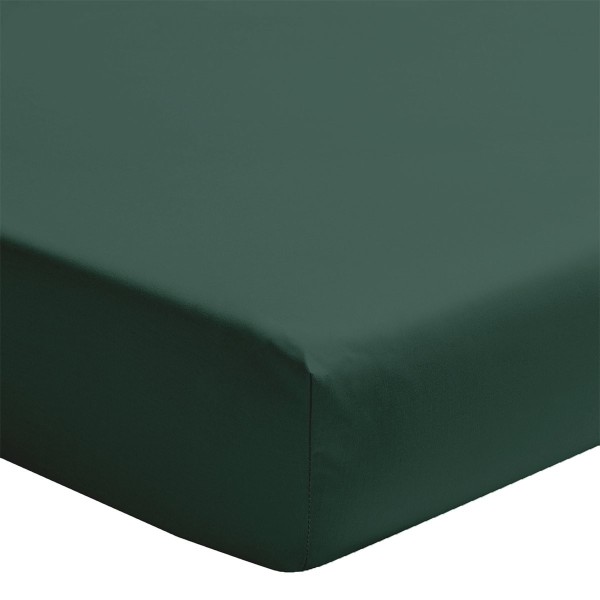 Drap housse uni en percale de coton 80 fils/cm² Première Forêt, Essix