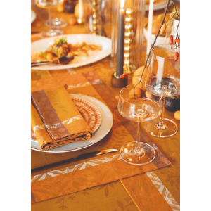 Sets de table enduits Manor Lane Coloquinte, Le Jacquard Français