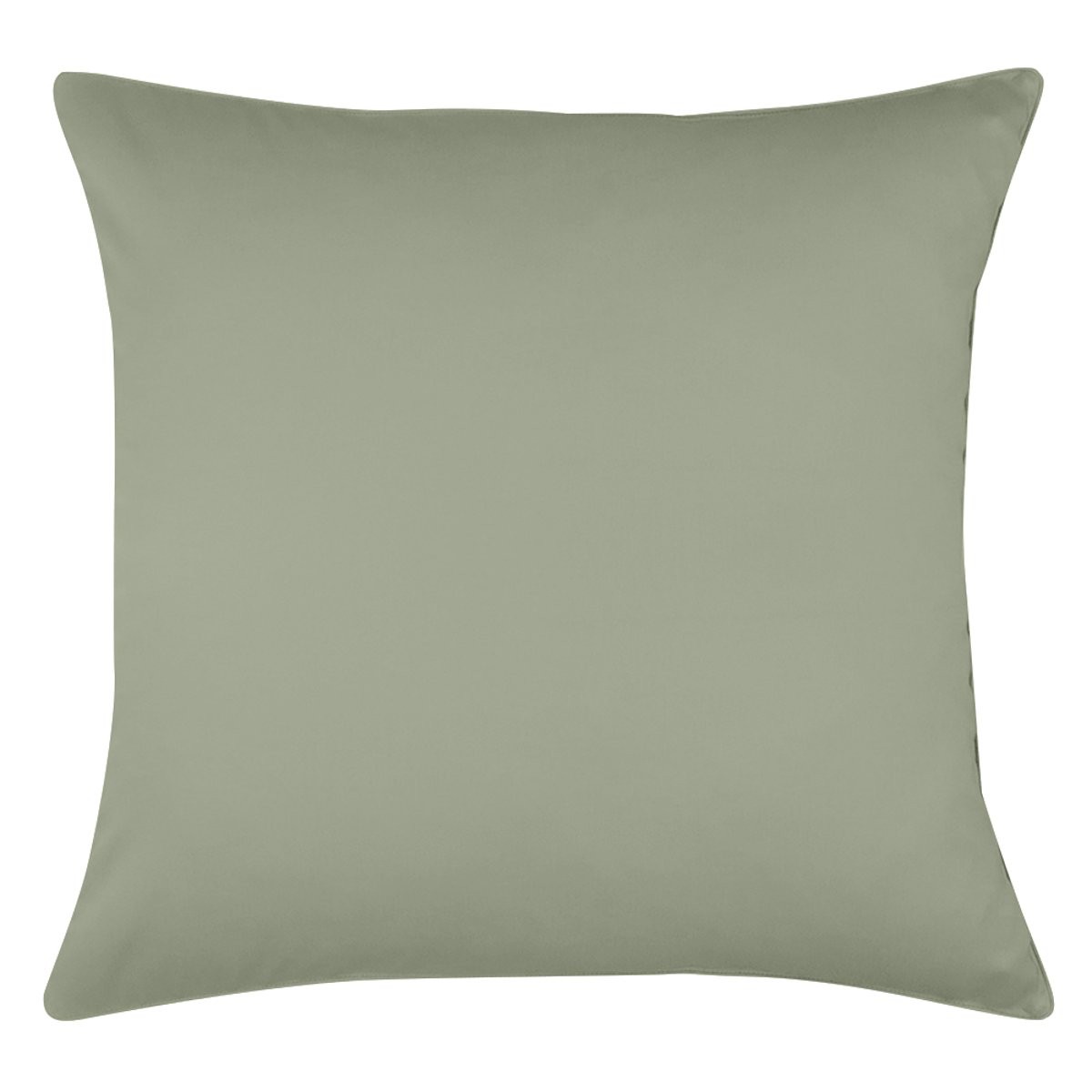 Lichen, vert